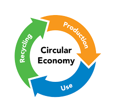 A Comprehensive Overview of Eco-friendly Labels for a Greener Future